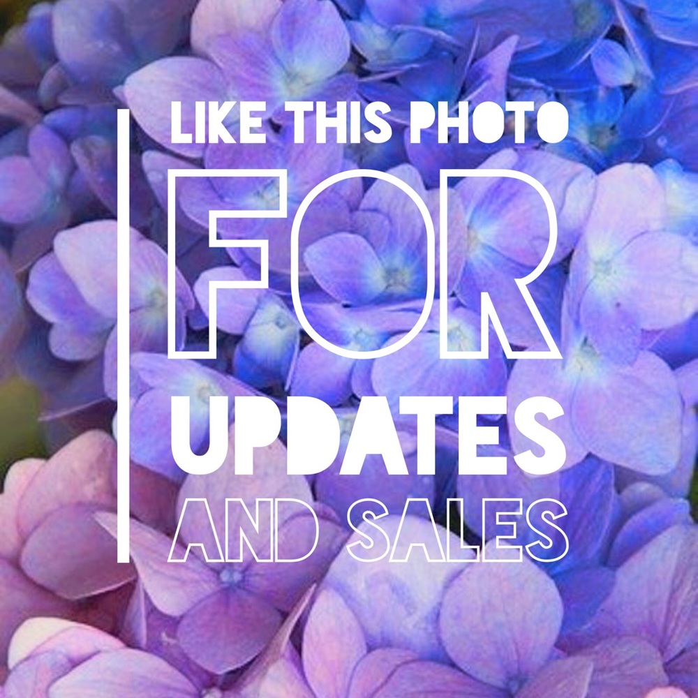 ✨ Free Shipping on ALL ORDERS over $20 ✨